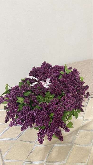 Сирень цветы 50 штук