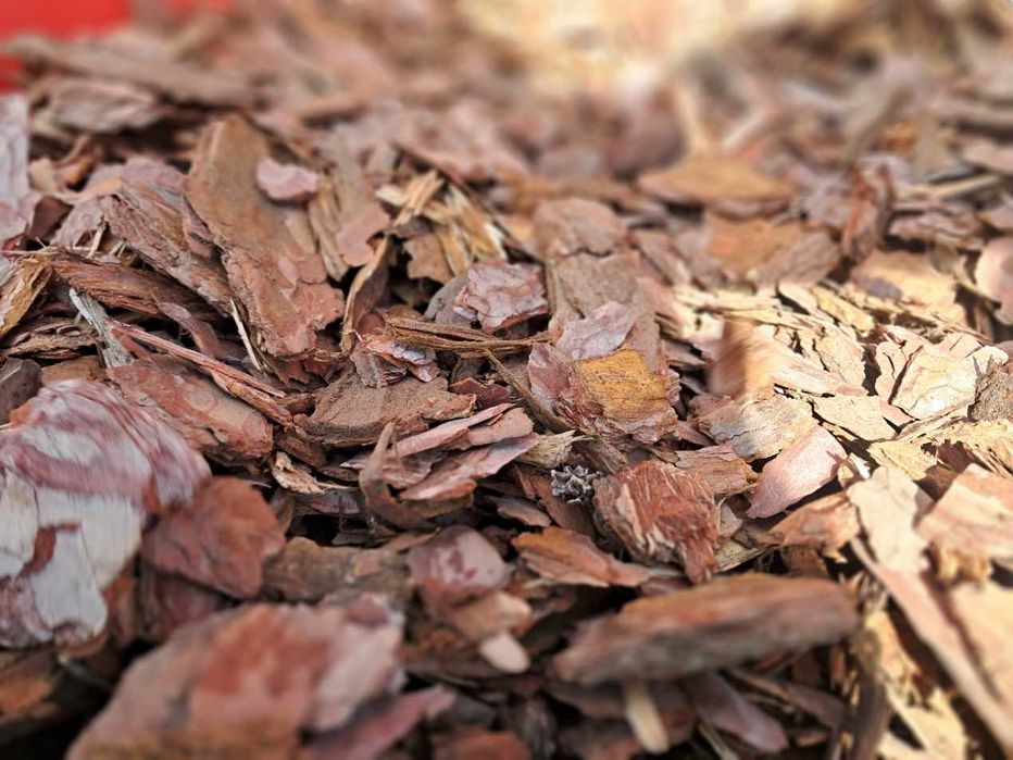 Борова кора от производител | 50л чували и насипно | София.