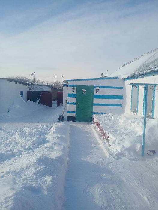 Продам дом село Пресное