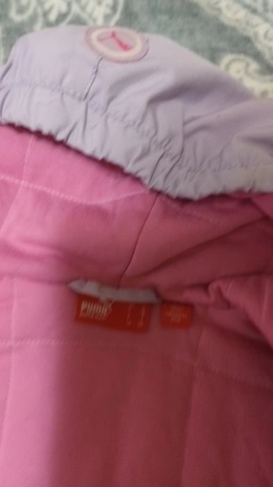 Пролетно яке Пума