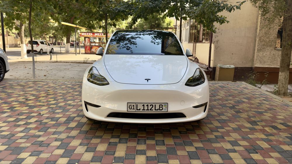 Tesla Model Y Perfomance 2024