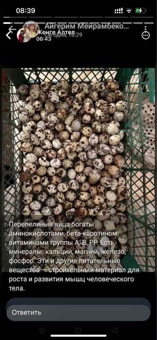 Перепилинные яица