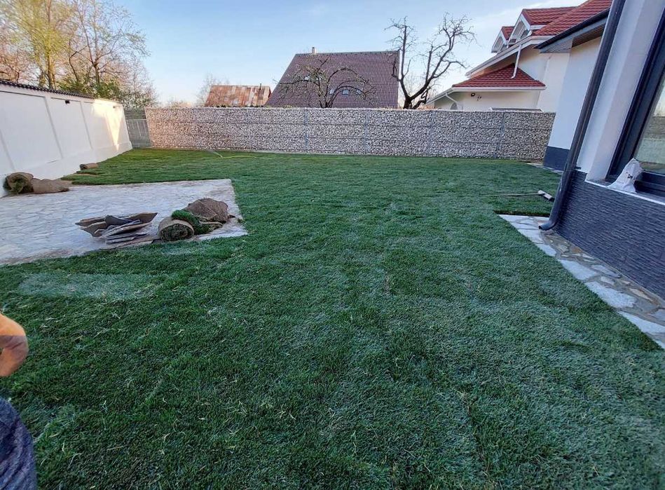 Gazon Rulou Rezistent la Trafic – Aspect Dens și Sănătos