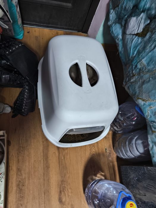 Продам лоток большой