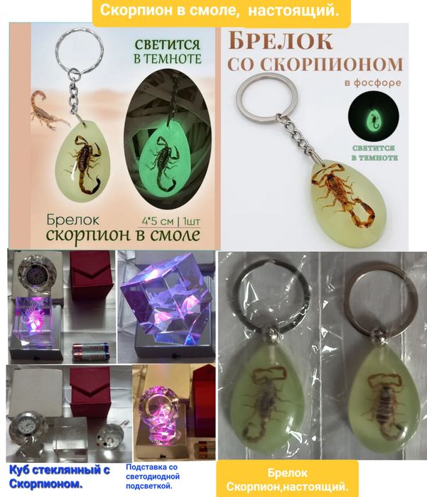 Брелок Скорпион настоящий.Светится в темноте. Новые.Смотрите фото.