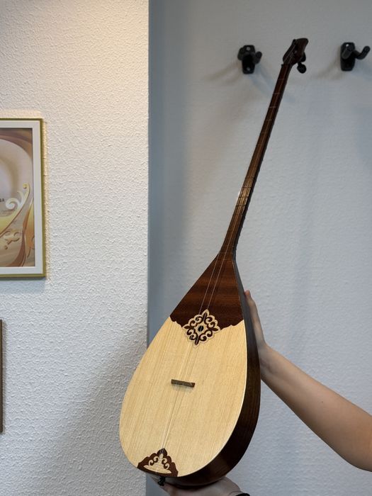 Домбыра Ақтөбе кәсіби профессиональные