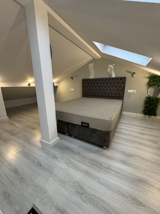 Vila Spatioasa 3 camere Cosmopolis
