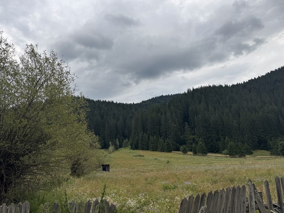 Teren de vânzare.
