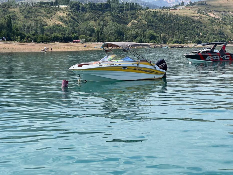 Прогулочный катера с подвесными моторами