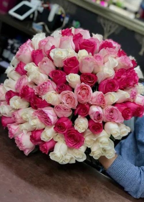 51шт Роза 12.04.26