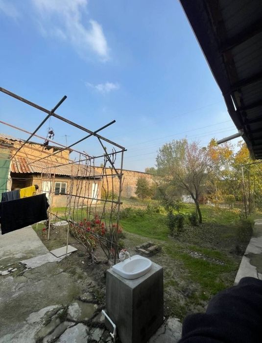 8 соток Онкоргон Селекция Сельхоз