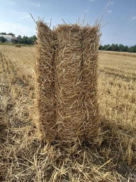 Vindem baloți din PAIE DE GRÂU