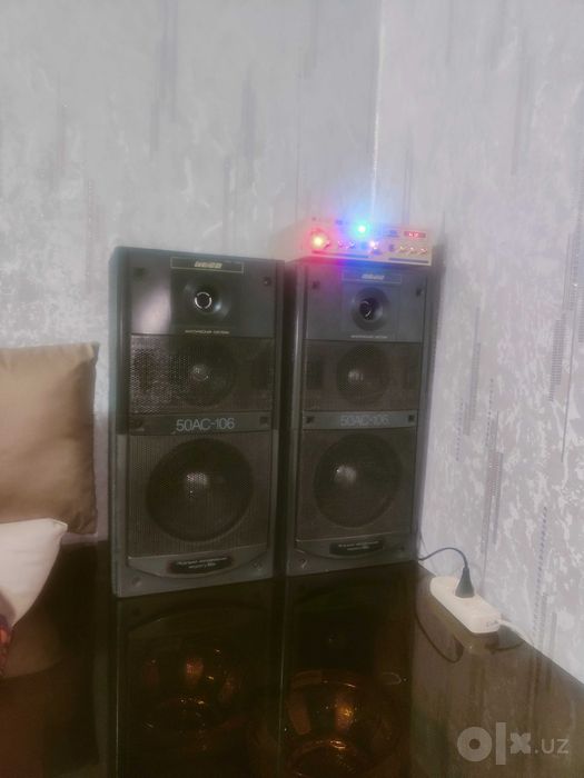 Калонка с усилителем С50