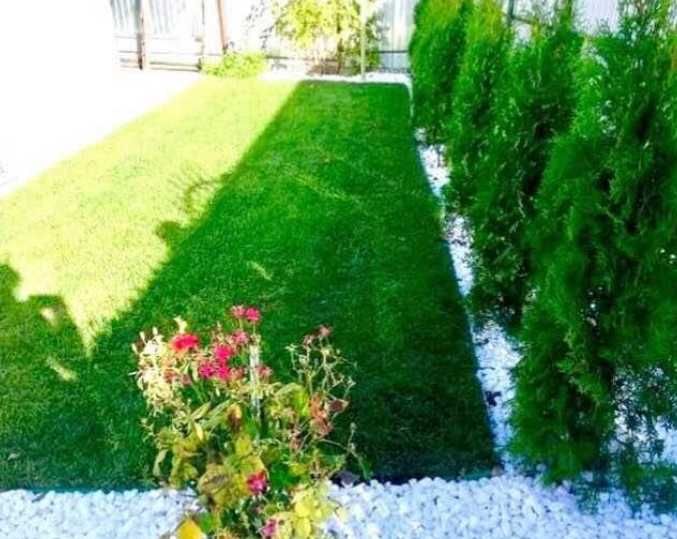 Gazon rulou Insamantare si sisteme de irigatii