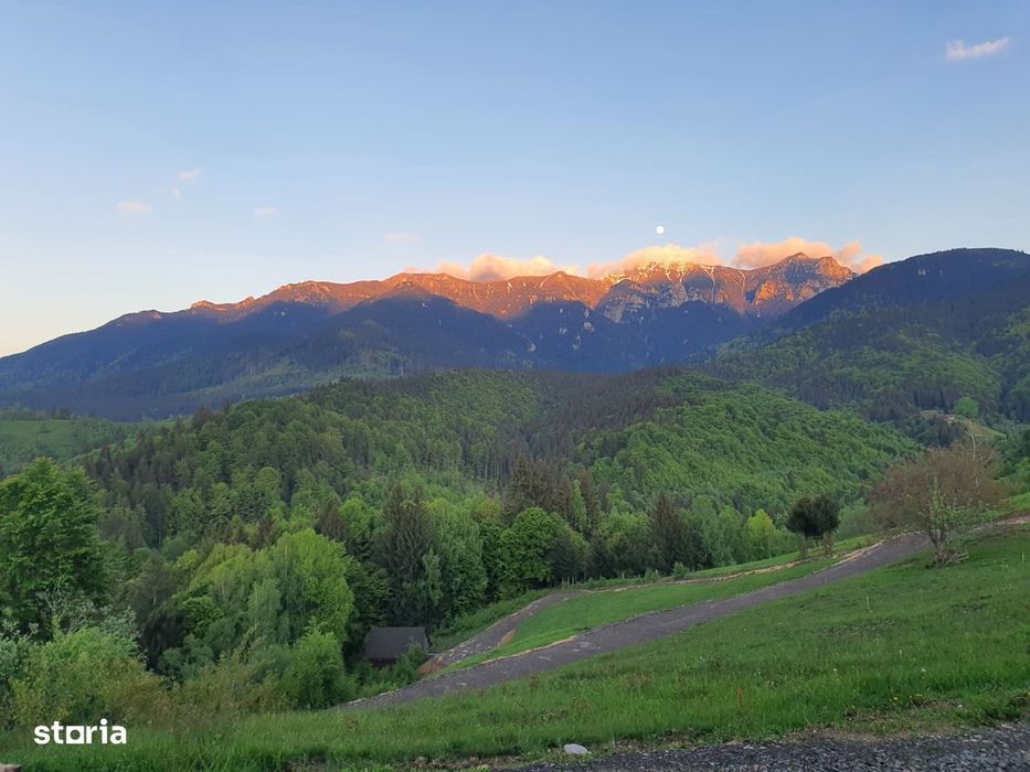 Loturi premium, cu vedere directă către Mt Bucegi