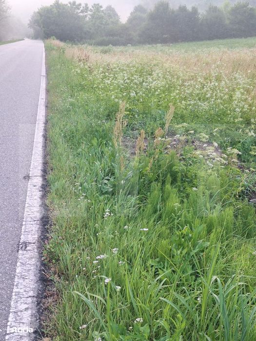 Teren la sosea, 5200 mp, localitatea Jena