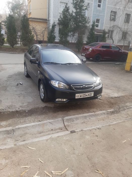 Ласети в хорошем состоянии!