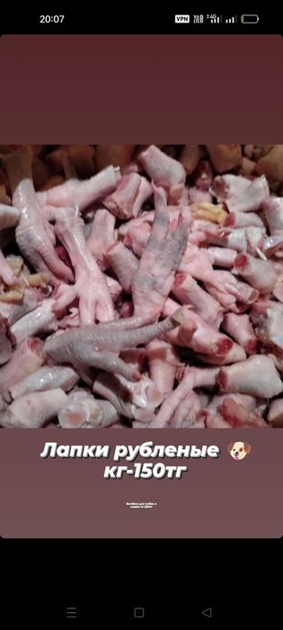 Корма  для собак и кошек