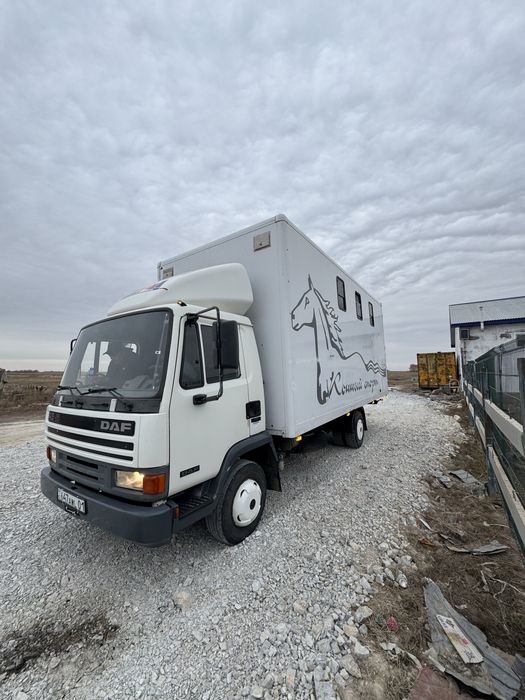 Коневозка Daf 150