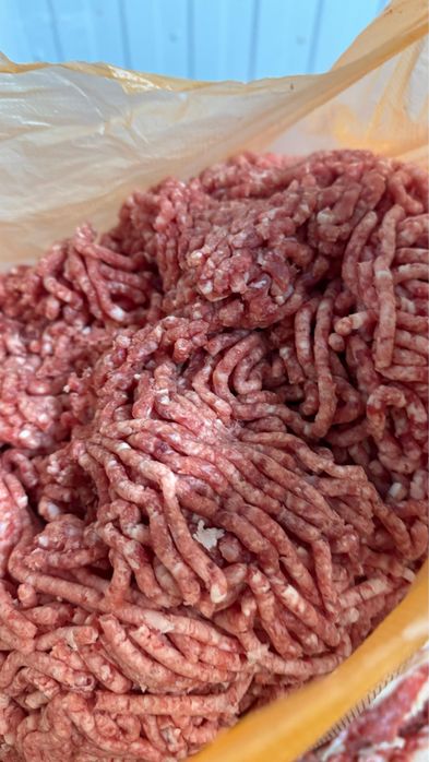 Продам мясо говядины