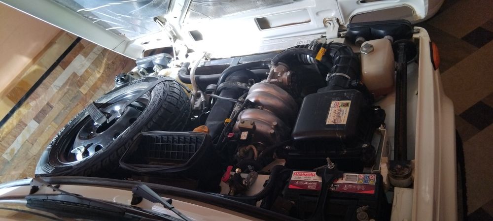 Niva urban jizzax 2018