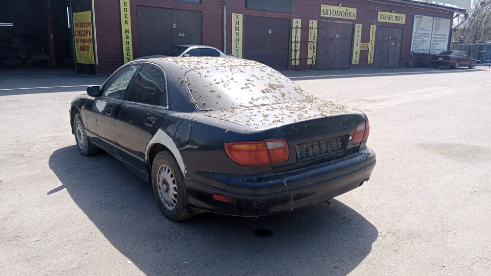 Xedox. 9. 3 литра