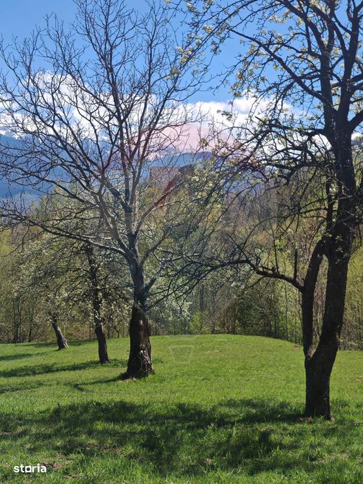 Ocazie! Teren 2885 mp Bran- Predelut / Strada Pe Tarina nr. 70A