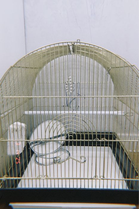 Үйшік және ыдыстары силыққа