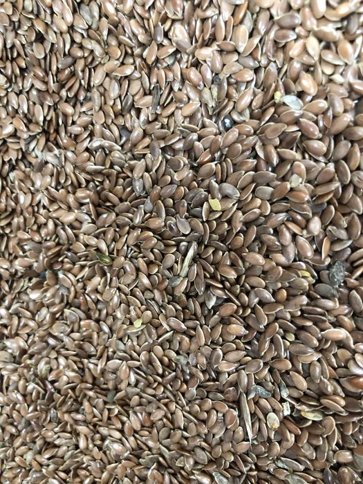 Семена льна