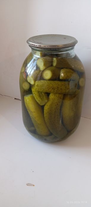 Продам огурцы помидоры