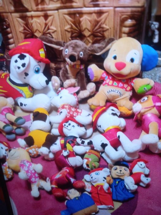 Lot plusuri copii