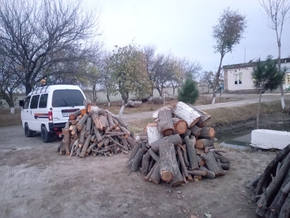 Ótin sotiladi quruq va hól ótinlar