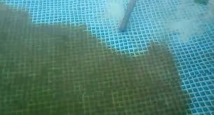 Альгицид для бассейна против водорослей