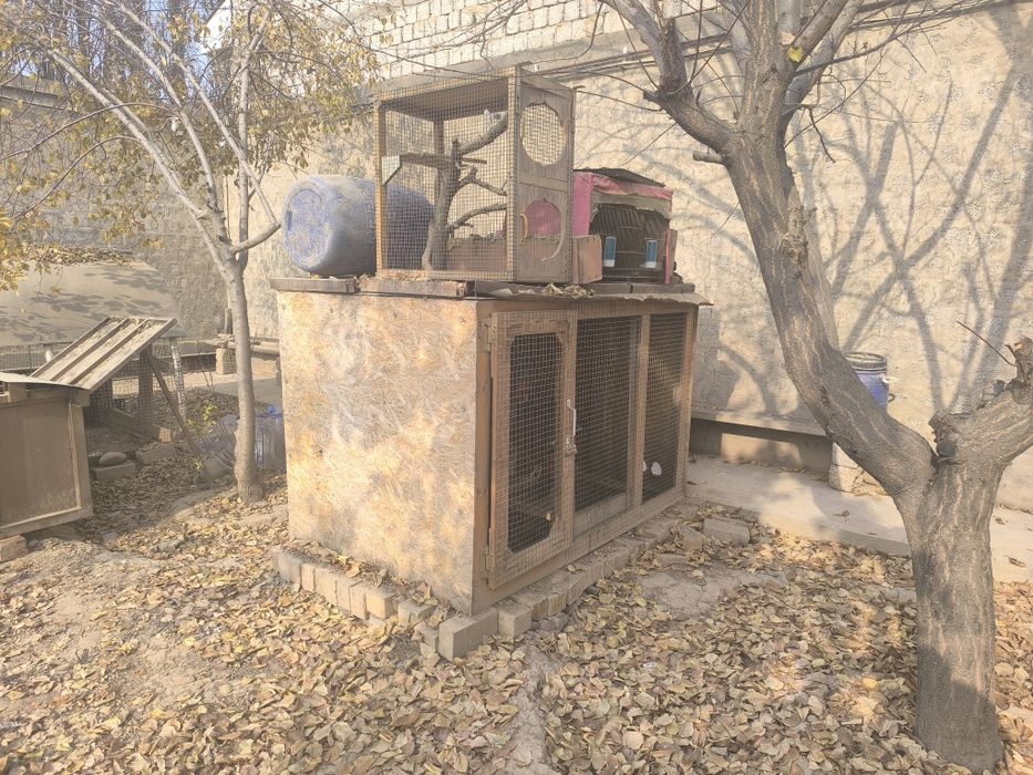 Товуқ хона сотилади 2×1×1,  10 та товуқга мўлжалланган