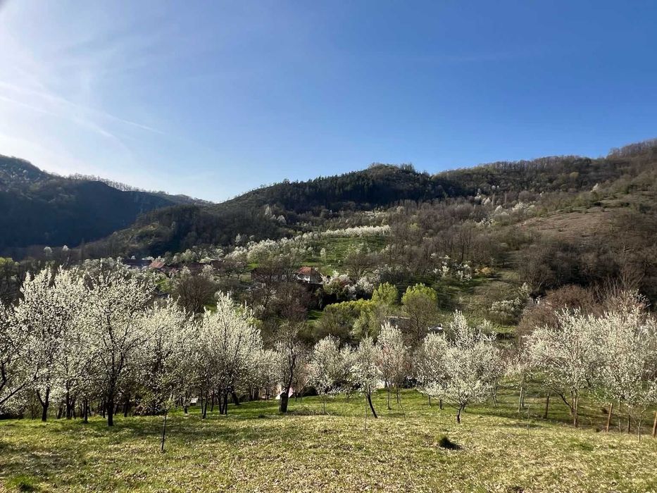 Preț actualizat | Proprietar vând casă la munte cu 6.019 mp teren, grădină, livadă, utilități complete – Băcâia (Geoagiu)