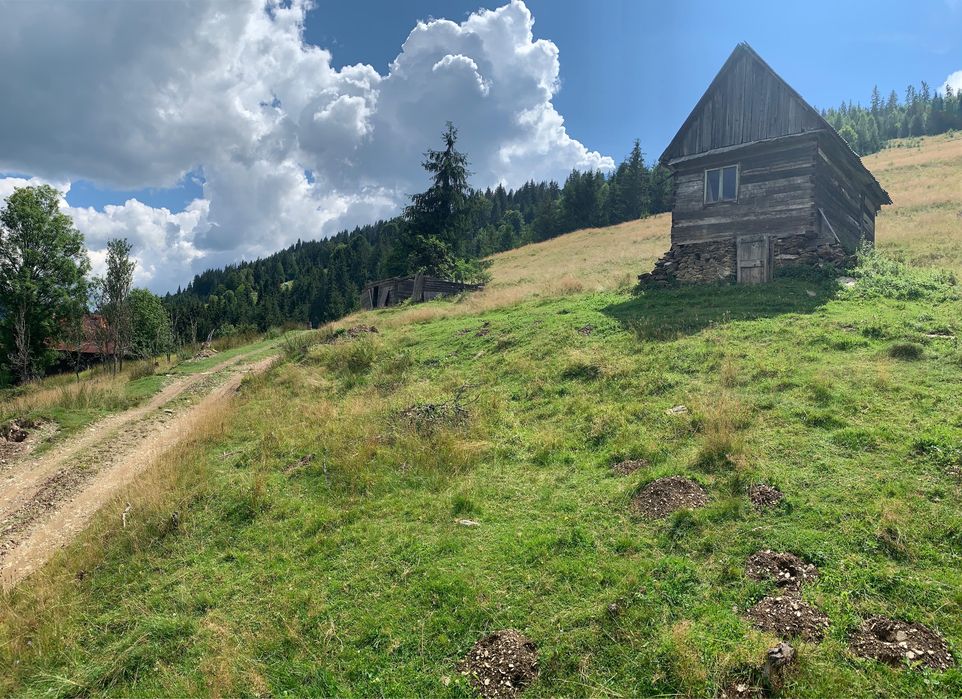 Vand teren comuna Horea