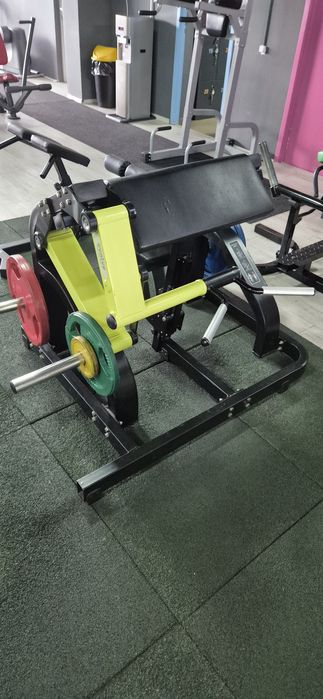 Aparat profesional biceps pe discuri