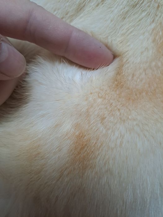 Норковая шуба в отличном состоянии