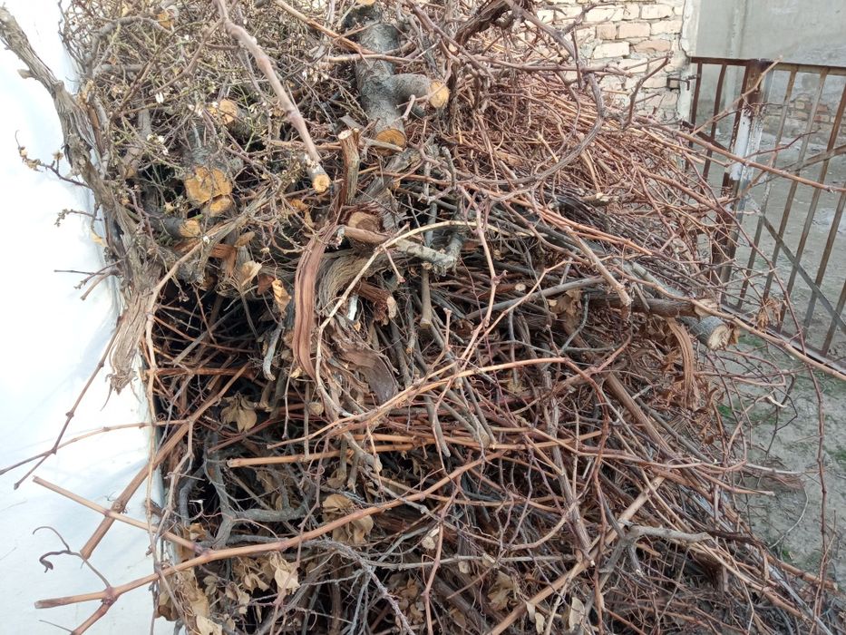 Хезум.  Продается.   Дрова..