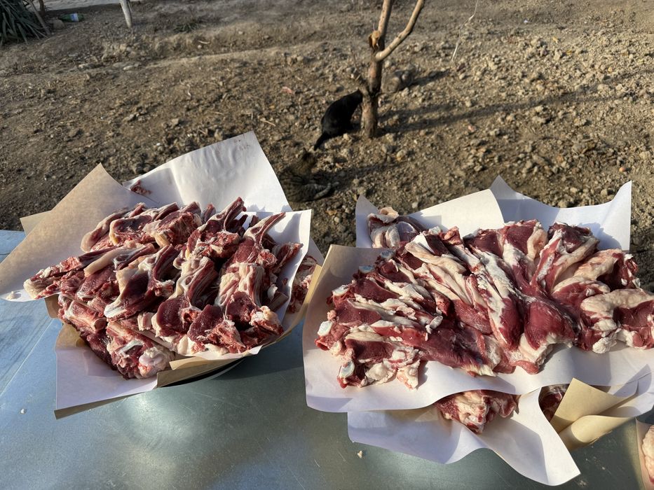 Қўйлар сотилади живой вазнига