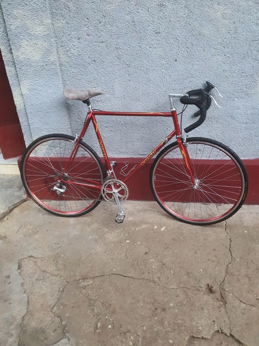 Cursieră LUDO Belgia-clasică