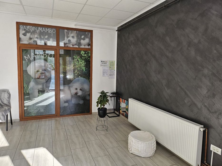 Spațiu comercial modern