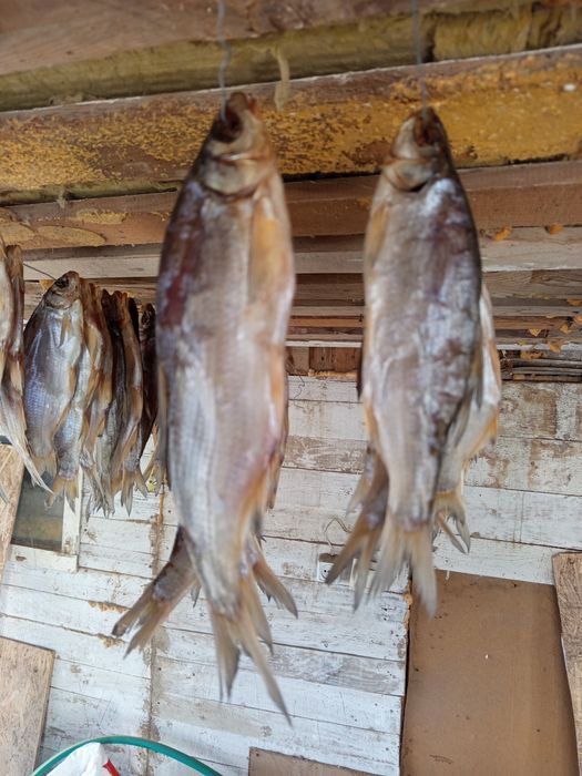 Продам валяние рыба