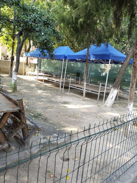 Naves zontik orginal xamma razmer bor