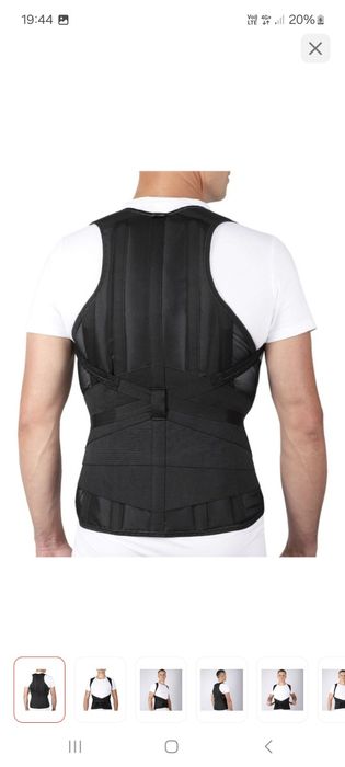 Крейт грудопоясничный