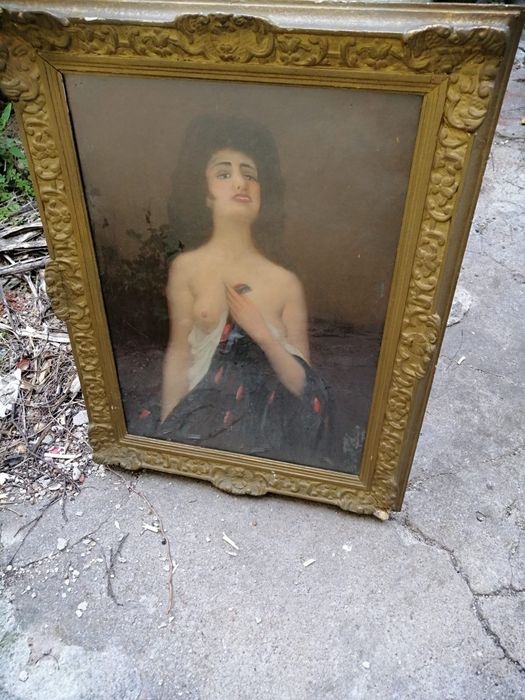 Tablou rama foto pictura pe panza car cu boi,nud ,florar