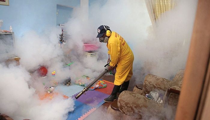 Дезинфекция горячие туманы паром и холодный туманы