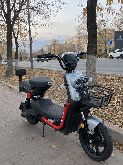 Аренда электроскутера