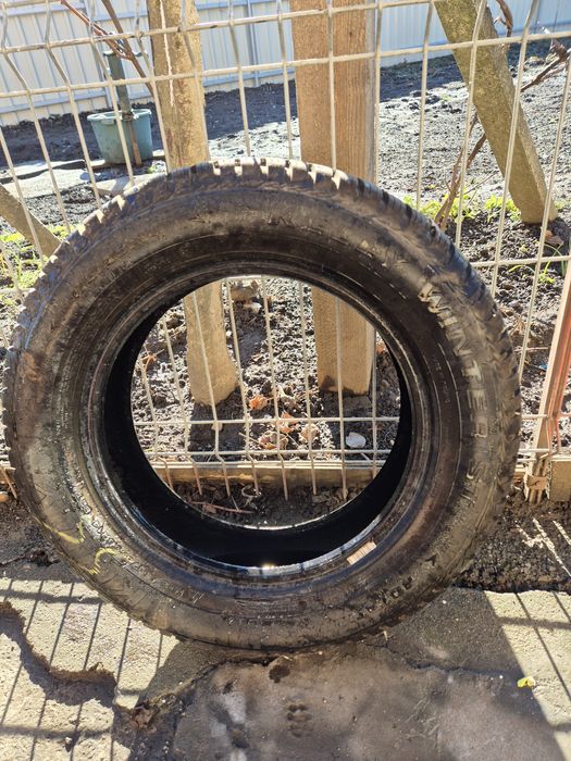 Anvelope iarna 175/55 R14