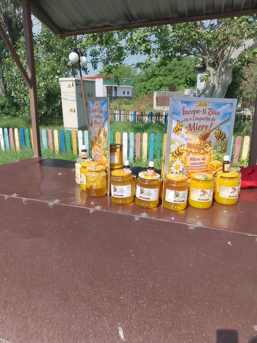 Miere bio de vânzare direct producător
